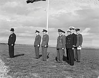 PR3041_1.JPG