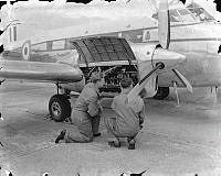 PR473a-56.jpg
