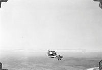 ALB1617713147.jpg