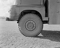 WhG13781-58.JPG