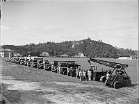 HbH188.jpg