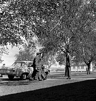 WgG4171-68.jpg