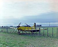 Oh1195-98.JPG