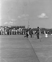 WhG553-13-81.jpg