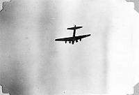 ALB1919010139.JPG