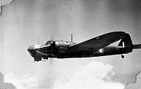 ALB1919010177.JPG