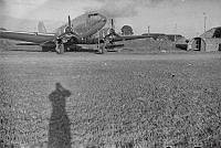 PR8239.jpg