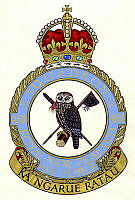 488 SQUADRON_1_1.tif