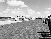 WhG3228-52_1.JPG