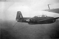 ALB10344118013.jpg