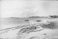 ALB85364025.jpg