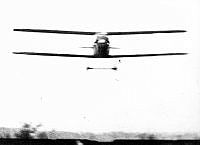 ALB8319526583.jpg