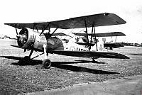 ALB8553831a_1.jpg