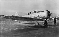 DWNZ944.jpg