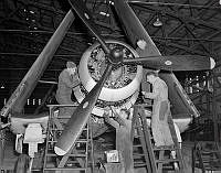 PR3354.JPG