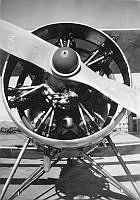 MUS070138.jpg