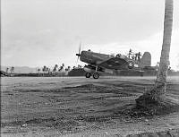 PR3391.JPG