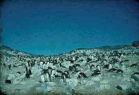 2009-500.93.jpg