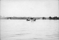 ALB85364024.jpg