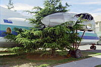 MUS010207.JPG