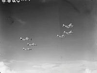 PR3266.JPG