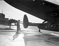 PR3078_1.JPG