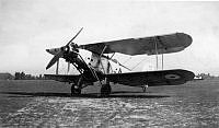 MUS1001735.jpg