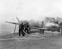 NelG882-44_1.JPG