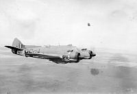 ALB2511328006.jpg