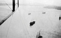 ALB8319526068.jpg