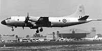 MUS1101519_1.jpg