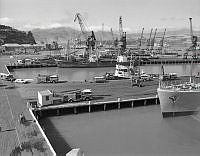 WgG500-5-82_1.jpg