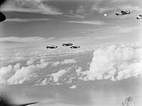 PR3235.JPG