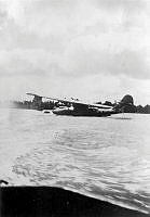 ALB2604117013.jpg