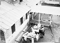 ALB1919010207.JPG