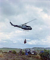 CrNZ3813II7.JPG