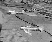 ALB971531338.jpg