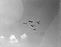 WhG3254-52_1.JPG