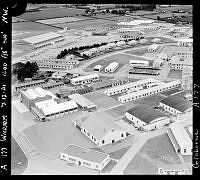 GisG913-A177.JPG