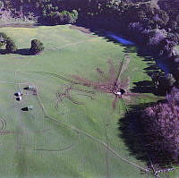 CrNZ6203C15.JPG