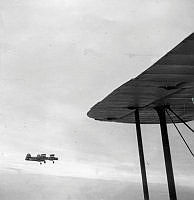 ALB10344119002.jpg