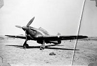 ALB1919010070.JPG