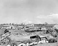LbG258-52_1.JPG