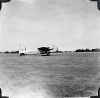 ALB971531312.jpg