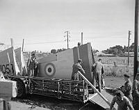 WgG9880-60.jpg