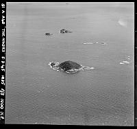 ArdA40-45.jpg