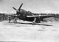 ALB86260101.jpg