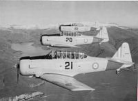WgF1591.jpg