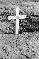 PR7837.jpg