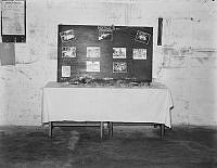 WhG4185-53_1_1_1.JPG